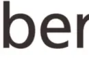 FP&A Consultant