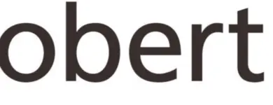 FP&A Consultant