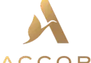 AV Manager