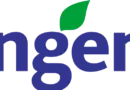 Accounts Receivable Manager