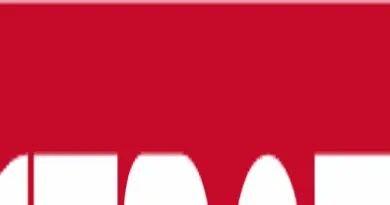 Applications Support Team Leader
