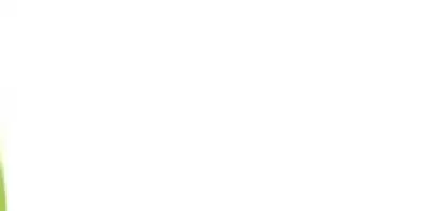 CCO(Compliance)_MIM Japan (GG14)