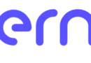 Chef(fe) de Projet Stratégique et Opérationnel
