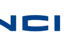 Conducteur / ingénieur travaux confirmé / Bâtiment