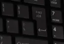 Consulting Data Manager