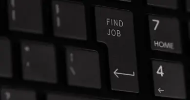 Consulting Data Manager