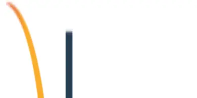 Ecommerce Executive