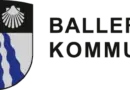 Erhvervsudviklingschef