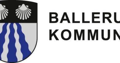 Erhvervsudviklingschef