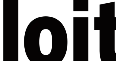Experienced S/4 HANA Security and Control Consultants