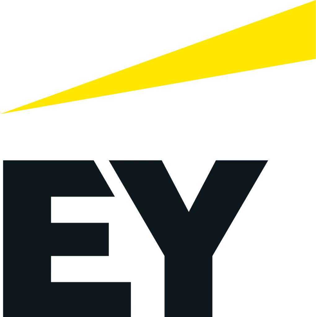 Junior Consultant in Financial Accounting Advisory Services