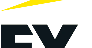 Junior Consultant in Financial Accounting Advisory Services
