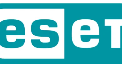 Junior Python/Golang Developer