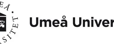One to Two Associate Professors (Senior Lecturers) in Economics