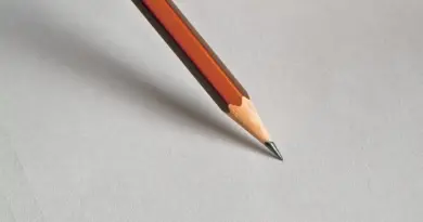 Opiekun Klubowicza