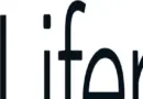 Project Manager (English-Speaking)