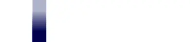 Regional SEO Lead