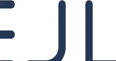 Senior Consultant, Mining & Metals Industry