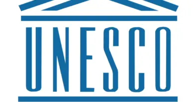 Senior Project Officer