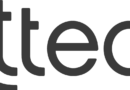 Team Lead, Service Delivery