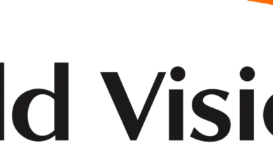 Technical Sector Lead / Technical Sector Advisor in Kyiv