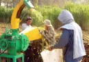Technicien Elevage équin (H/F)