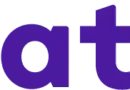 VP Internal Audit