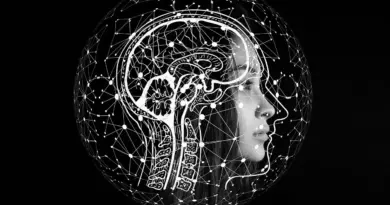 Data Intelligence Intern