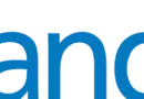 it solution architect