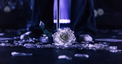 Commesso/Commessa STAGE Merlata Bloom