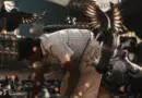 Video Editor & Animator Job at Spark Motion